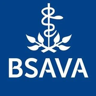 Bsava