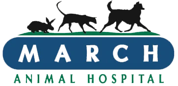 March Animal Hospital