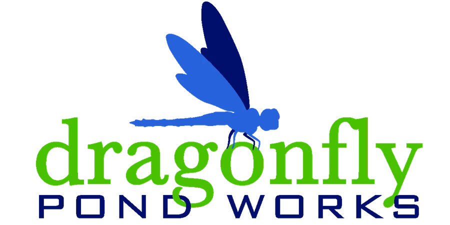 Dragonfly Pond Works