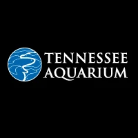Tennessee Aquarium