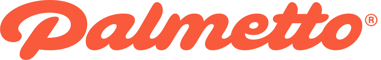 Palmetto Embraces Diversity And