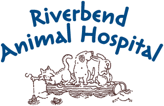 Riverbend Animal Hospital