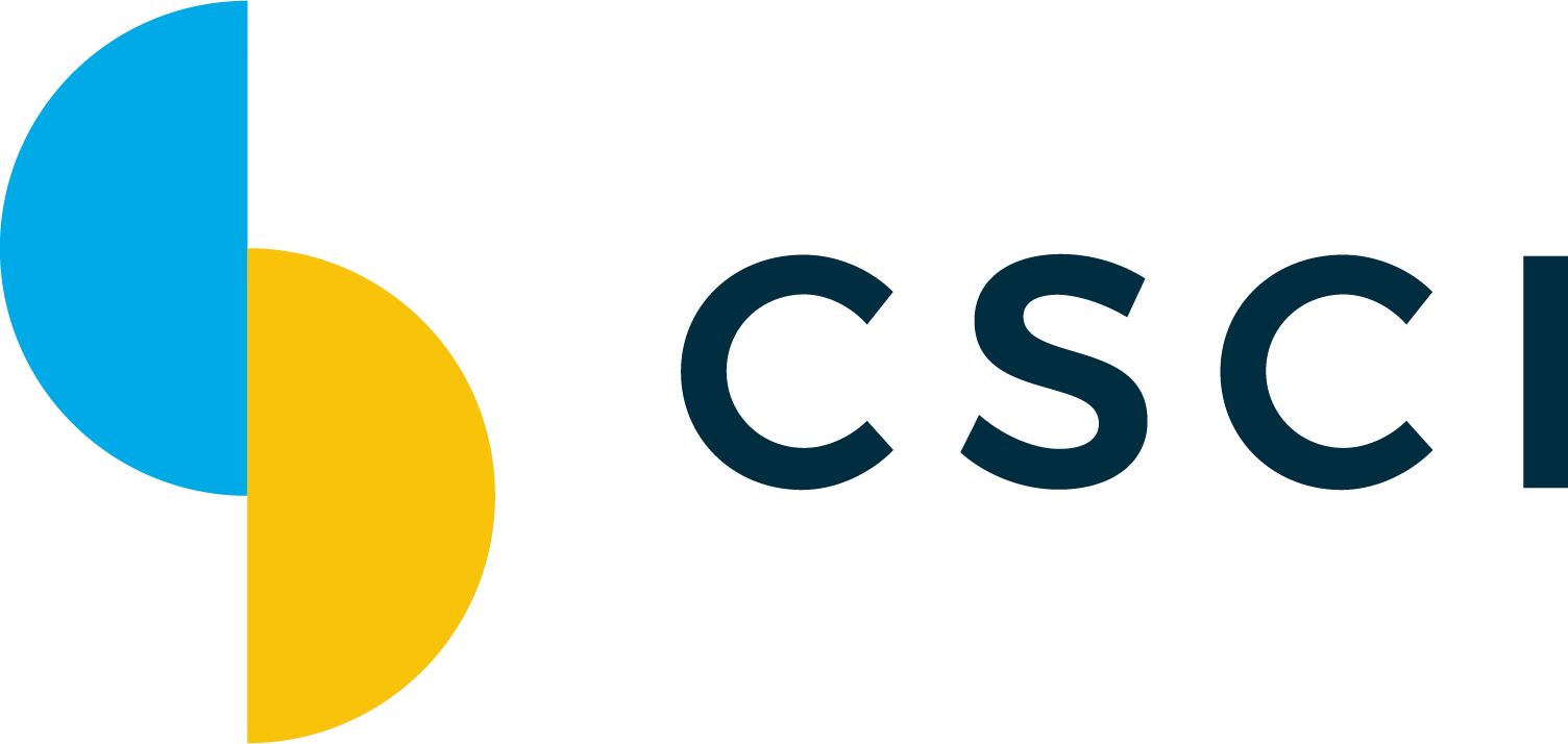 Csci Consulting