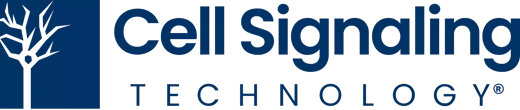 Cell Signaling Technology