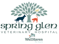 Spring Glenn Veterinary Hospital