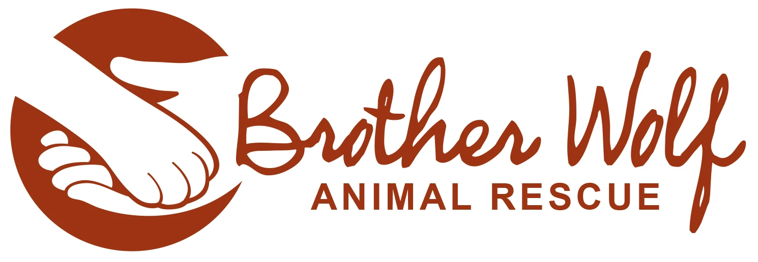 Brother Wolf Animal Rescue