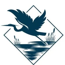 The Path To Aliveness