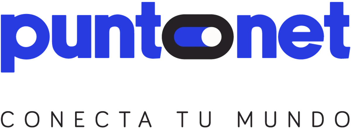 Puntonet Sa Overview