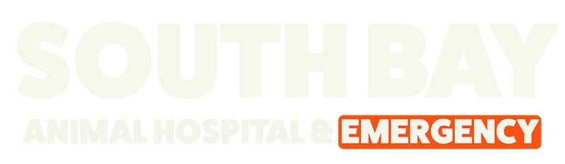 Sb Animalhospitalcom