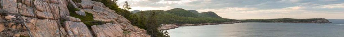 L.l.bean