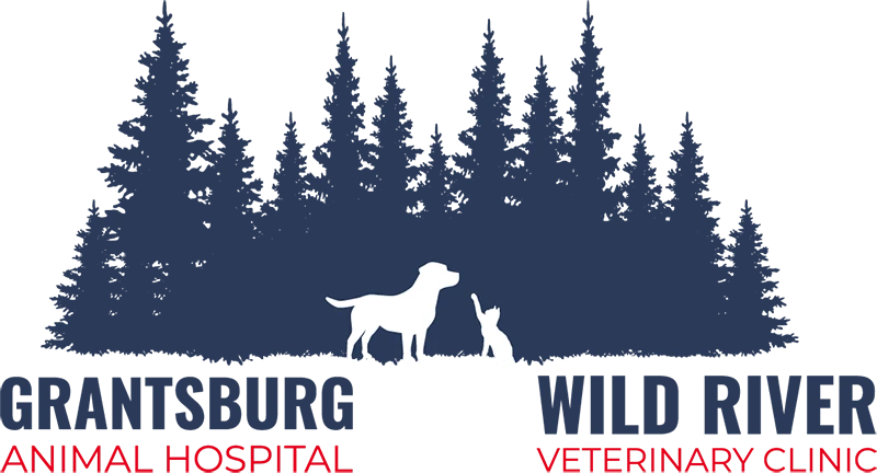 Grantsburg Animal Hospital