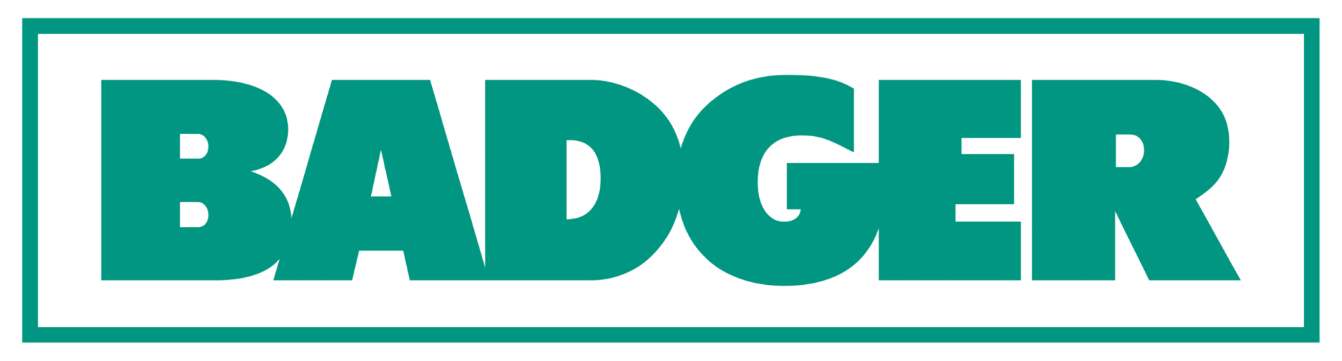 Badger Daylighting Corp