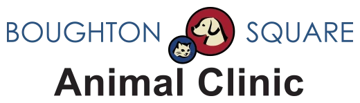 Boughton Square Animal Clinic