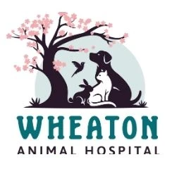 Wheaton Animal Hospital