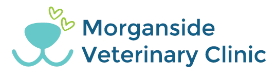 Morganside Veterinary Clinic