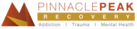 Pinnacle Peak Recovery