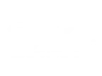 Foco Aluguel De Carros