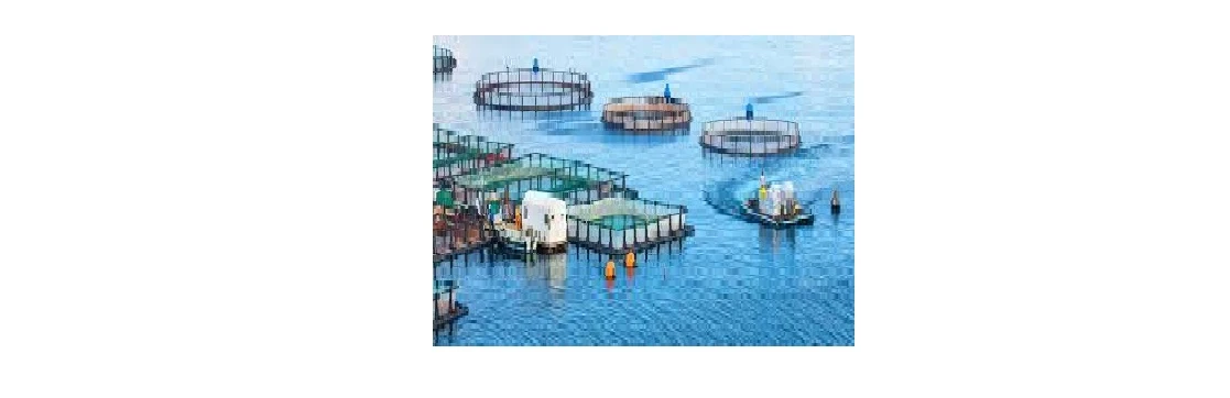 Laj-aquaculture & Farmacology