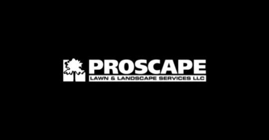 Proscape Lawn Landscape Services