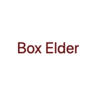 City Of Box Elder