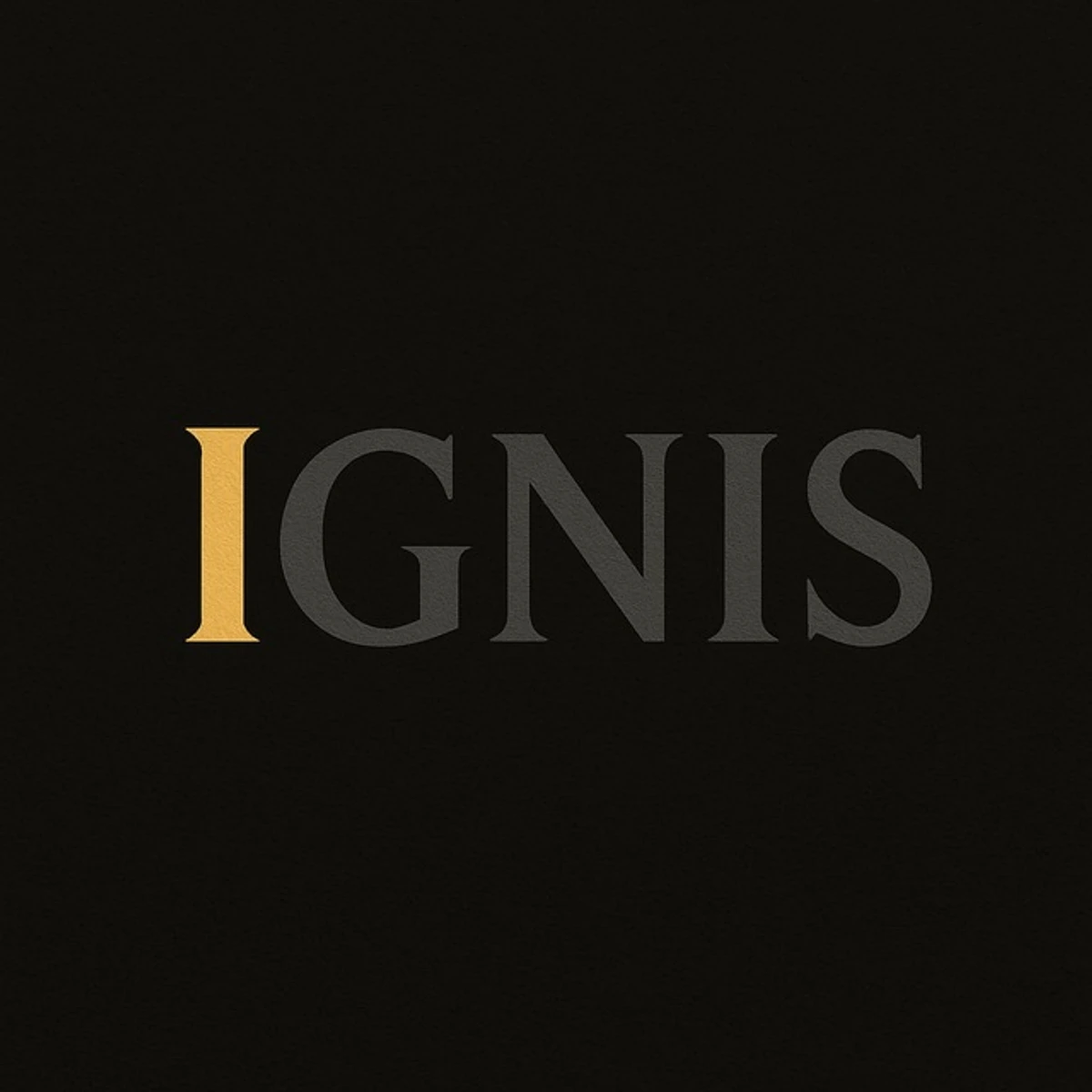 Ignis Agency