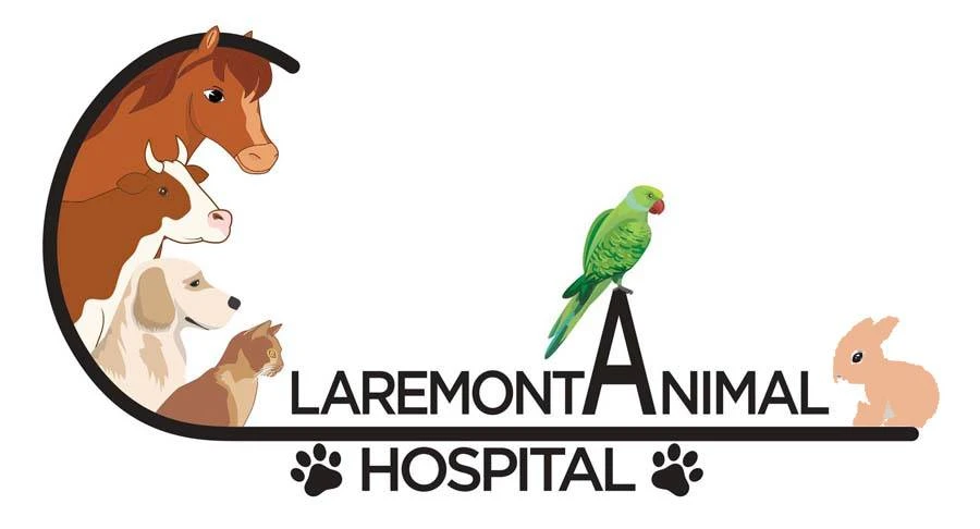 Claremont Animal Hospital Overview