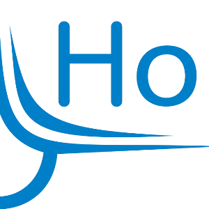 HOLT GLOBAL INTERNATIONAL DMCC