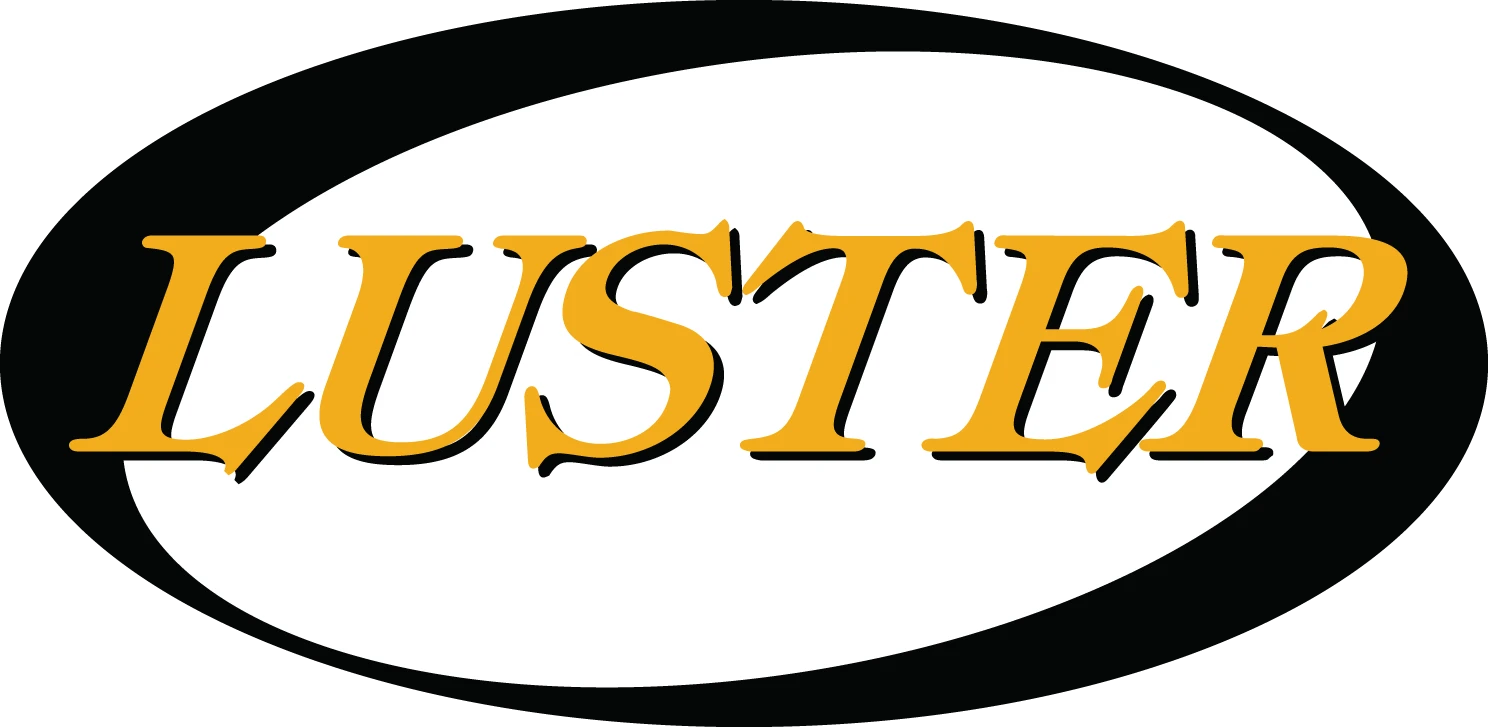 Luster National Internship Program