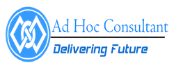 Ad Hoc Consultant