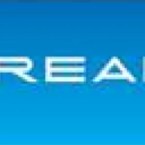DREAM SOFT COMPUTERS LLC
