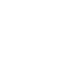 Premier Marine Engineering Services L.L.C