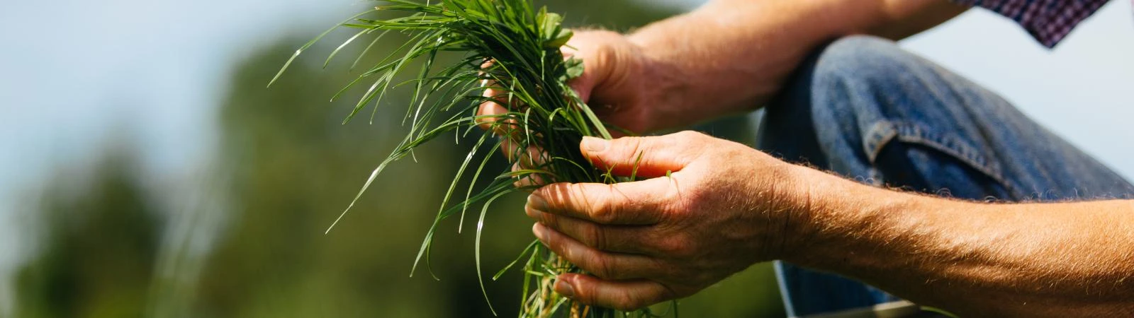 Department Of Agriculture, Food & Marine