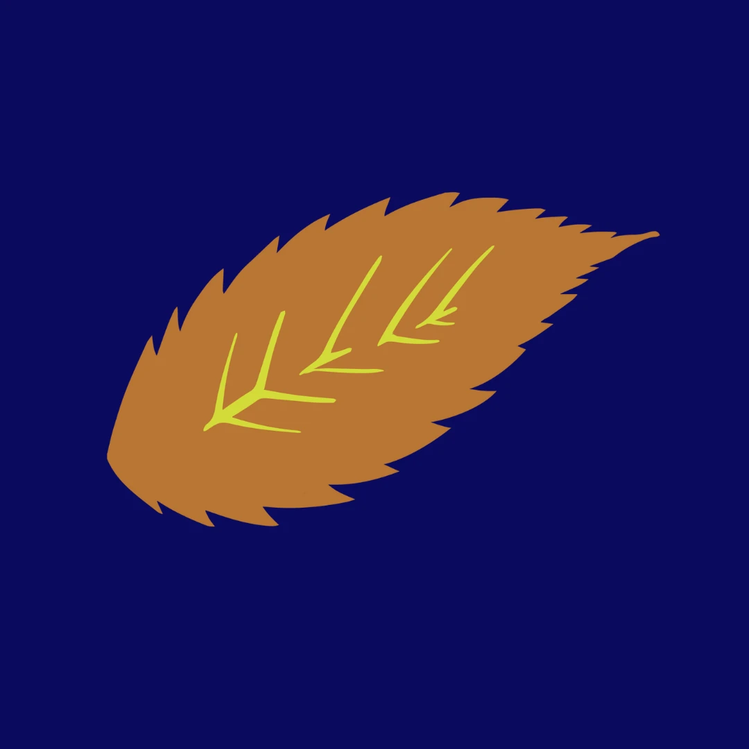 Elm Grove Property Mgt