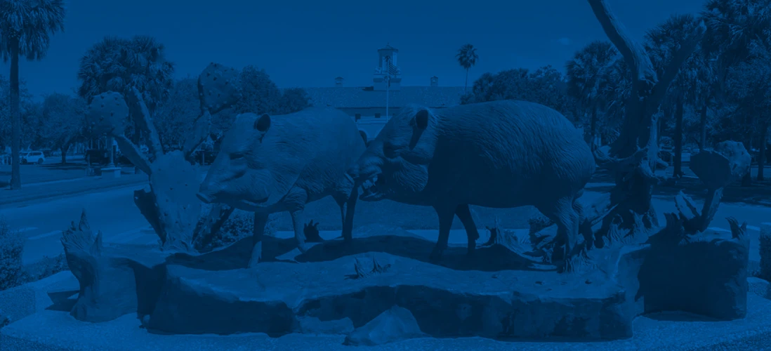 Texas A&m - Kingsville