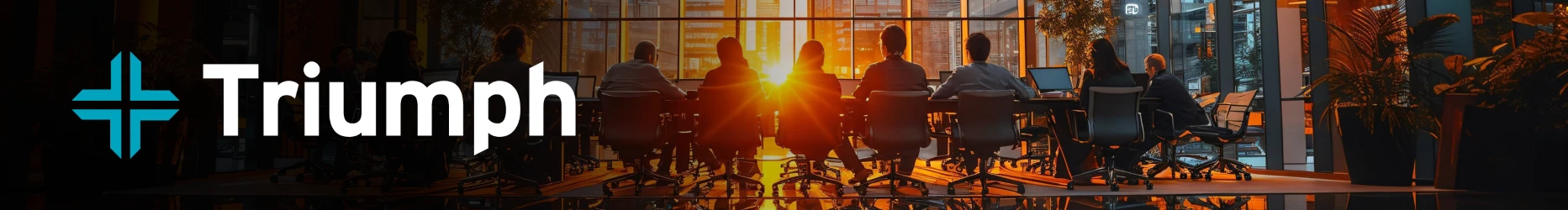 Triumph Financial Services