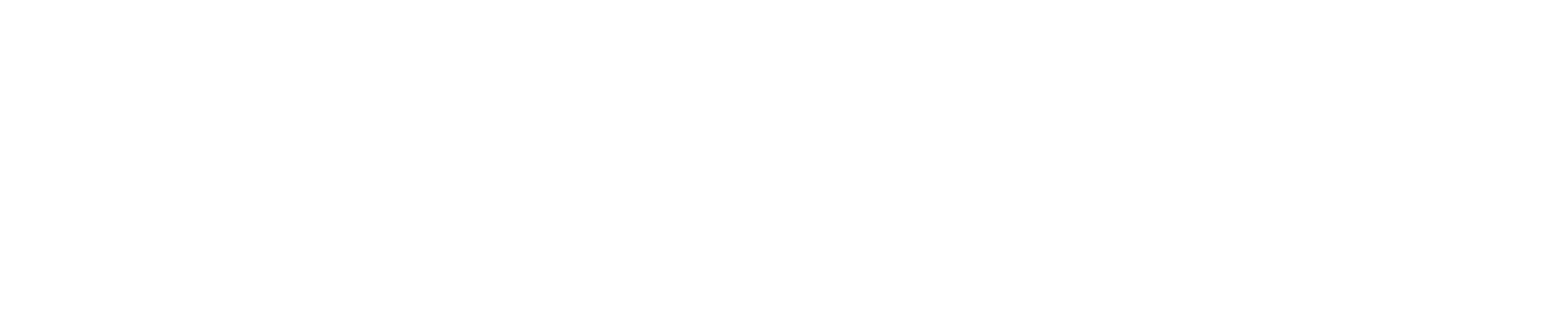 The University Of Chicago