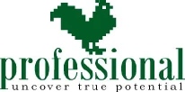 Professional