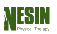 Nesin Therapy Services, P.c.