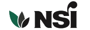 Nsi