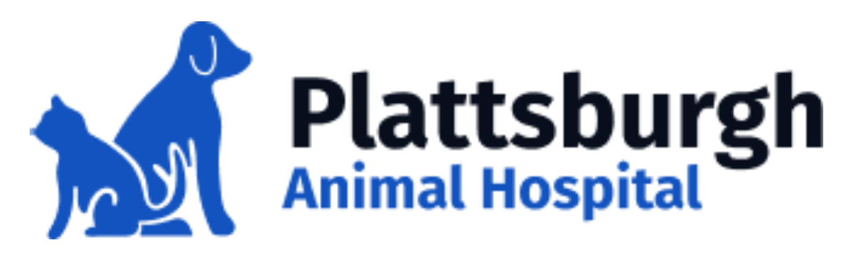 Plattsburgh Animal Hospital