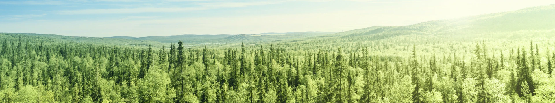 Washington State Employees Credit Union