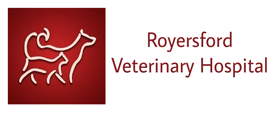 Royersford Veterinary Hospital