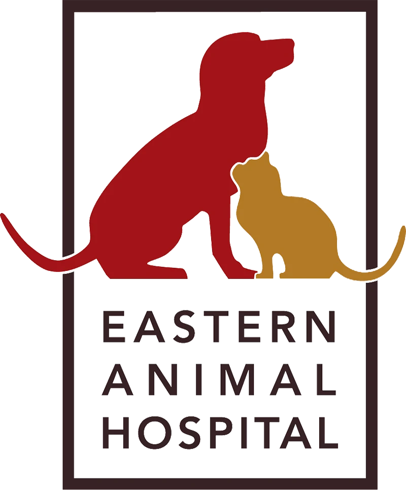 Eastern Animal Hospital