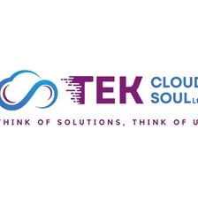 Tek Cloudsoul Ltd