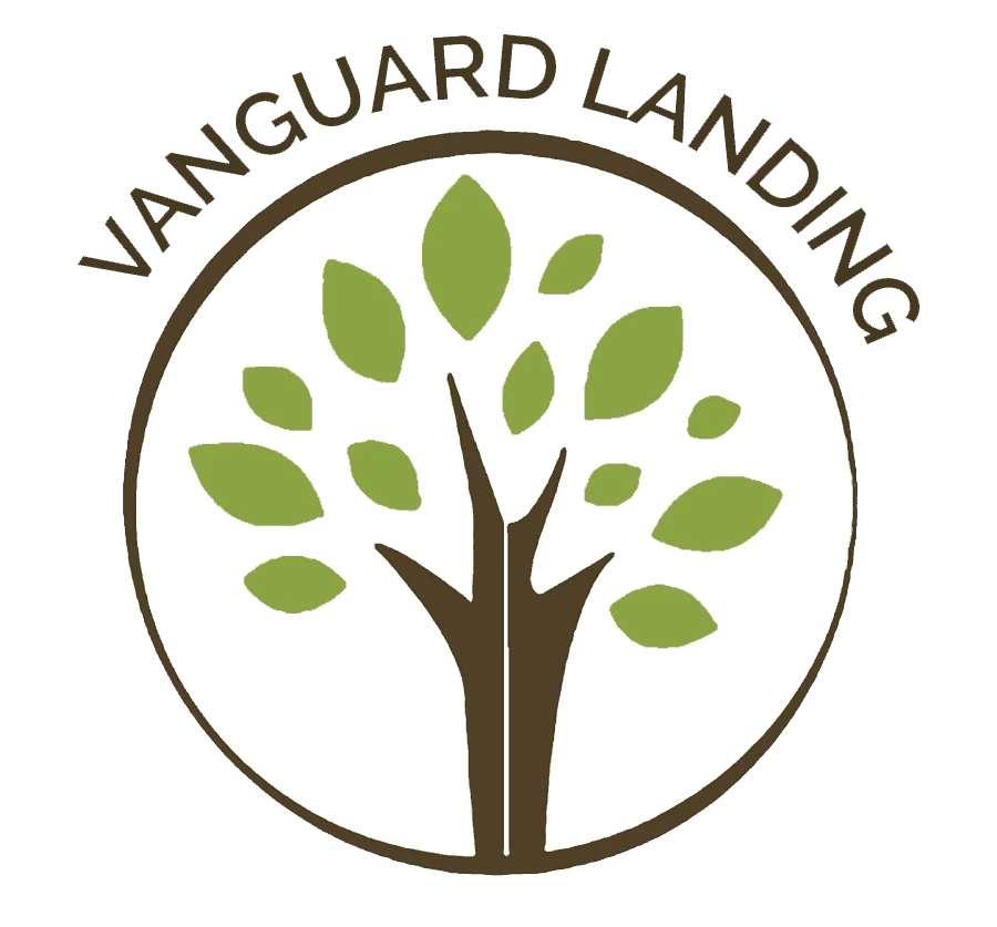 Vanguard Landing