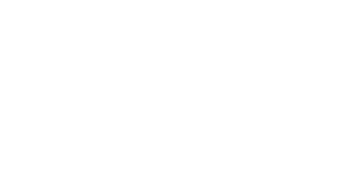Elysian Construction