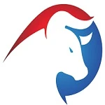 Bull Integrations Group