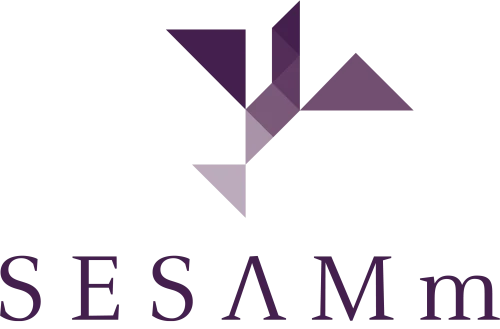 Bewerbung Als Data Scientist Bei Sesamm