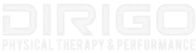 Dirigo Physical Therapy And Performance
