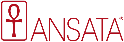 Ansata Computer Systems Pvt Ltd